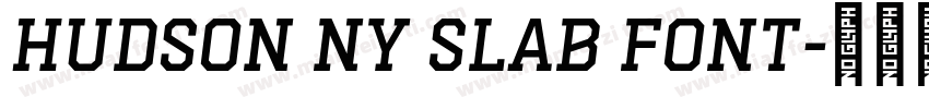 Hudson NY Slab font字体转换
